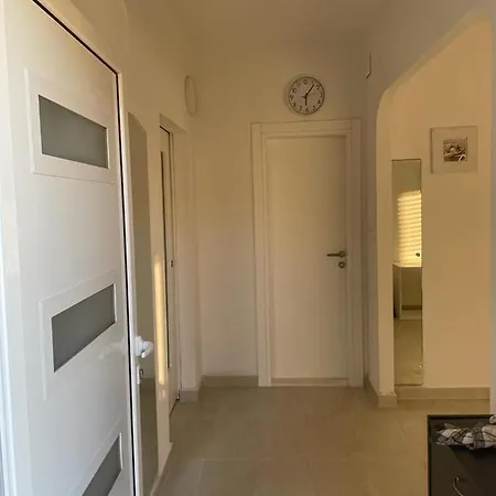 Starfish * Traù